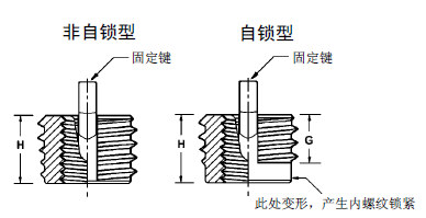 ΢���ݼy�o��